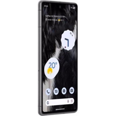 Смартфон Google Pixel 7 5G 8/256Gb Obsidian US