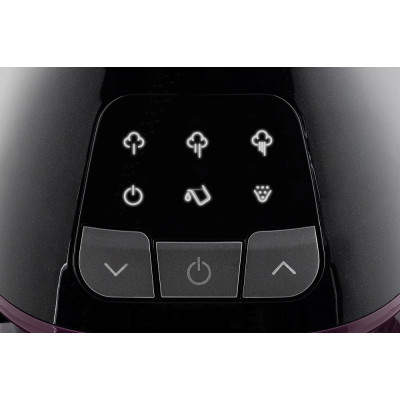 Парогенератор Gorenje Optitemp SGD3000BKV Black UA