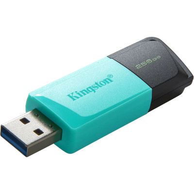 USB Flash 256GB 3.2 Kingston DT Exodia M black/teal (DTXM/256GB) USB Flash 256GB 3.2 Kingston DT Exodia M black/teal (DTXM/256GB)
