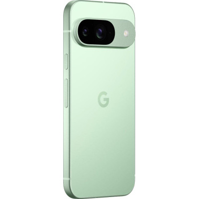 Смартфон Google Pixel 9 12/128GB Wintergreen (No Adapter) US
