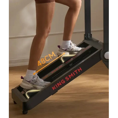 Степер Kingsmith StairGo Climbing Machine (STE001) UA UCRF Степер Kingsmith StairGo Climbing Machine (STE001) UA UCRF