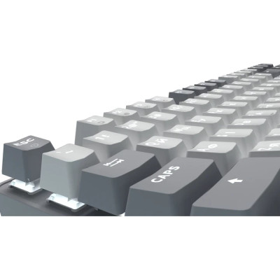 Клавіатура USB GamePro Genesis Metallic MK110G Outemu Red Switch UA LED Gray (MK110G) UA