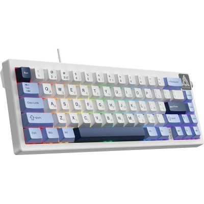 Клавіатура USB Ajazz AK650 Sea Salt switches Blue/White/Blue (AK650-SS-BWB) UA Клавіатура USB Ajazz AK650 Sea Salt switches Blue/White/Blue (AK650-SS-BWB) UA