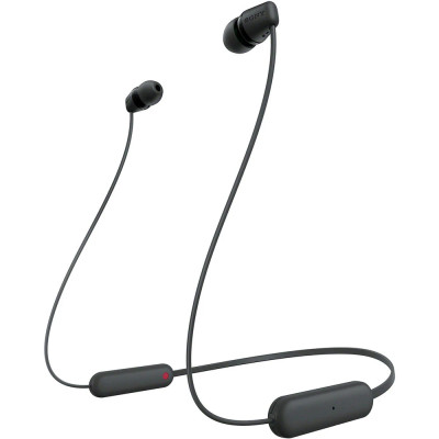 HF Sport Sony WI-C100 Black UA
