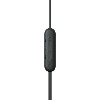 HF Sport Sony WI-C100 Black (WIC100B.CE7) UA