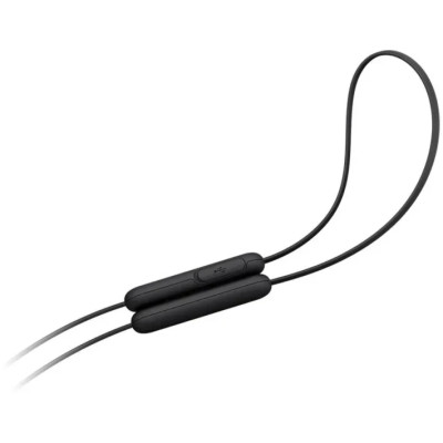 HF Sport Sony WI-C100 Black (WIC100B.CE7) UA