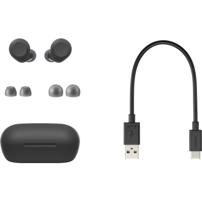 TWS Sony WF-C710N Black (WFC710NB.CE7) UA