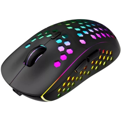 Bluetooth миша Canyon Haster GMW-18 Wireless Rainbow Backlite Black (CND-SGMW18) UA