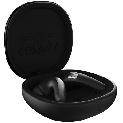 TWS HIFuture FlyBuds4 ANC black (flybuds4.black) UA
