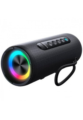 Портативна Акустика Baseus AeQur VO20 black