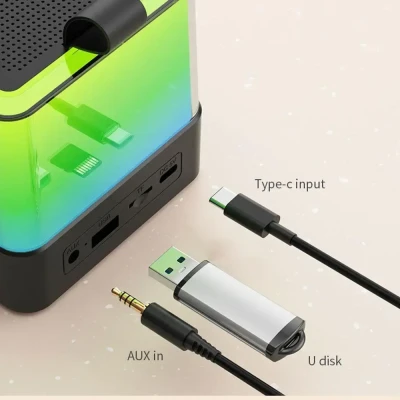Портативна Bluetooth колонка-караоке із двома мікрофонами Wi-Fi