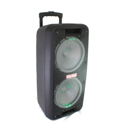 Портативна колонка Su-Kam 1010 + 2 мікрофони + BT 12v220v