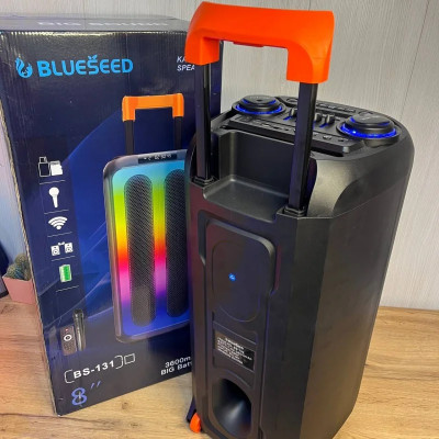 Колонка Bluetooth Wireless Speaker TTD-2821 40 Вт 3600 mAh 31.6×32.3×68.6cм
