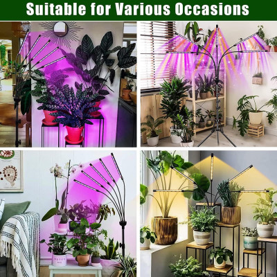 Світлодіодна фітолампа Grow Light для вирощування рослин / Фітолампа для кімнатних рослин на штативі з пультом таймером Світлодіодна фітолампа Grow Light для вирощування рослин / Фітолампа для кімнатних рослин на штативі з пультом таймером