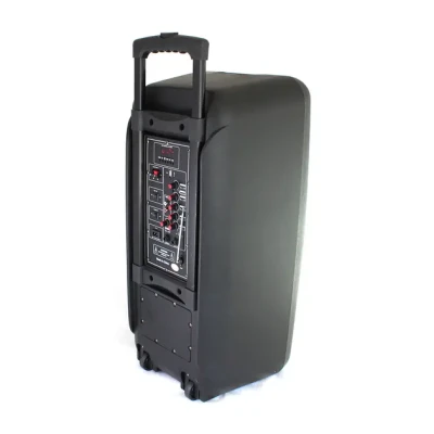 Портативна колонка Su-Kam 1010 + 2 мікрофони + BT 12v220v