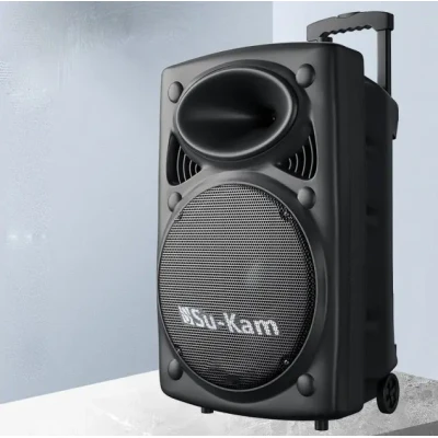 Портативна колонка Su-Kam BT 150D + 2 мікрофони 12v\220v