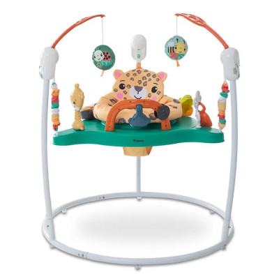Ігровий центр, що розвиває, дитячий джемпер Fisher-Price Jumperoo Baby Activity Center Зелений