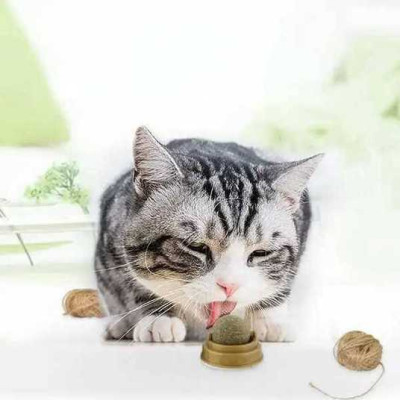 Котяча іграшка для кішок м'ятна кулька котячий льодяник