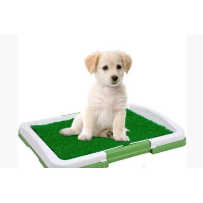 Туалет для собак Puppy Potty Pad MH-872 Туалет для собак Puppy Potty Pad MH-872