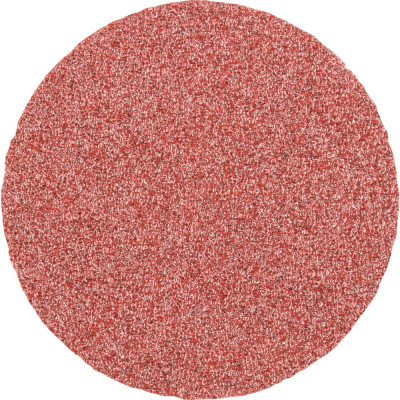 Шліфувальний диск 30*6мм 6AR 120GR SC3006