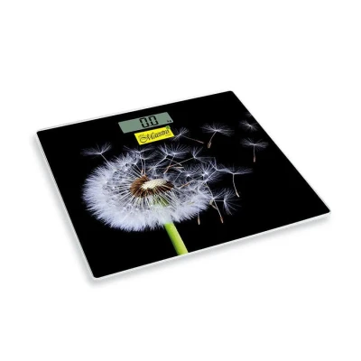 Ваги підлогові Maestro MR-1828