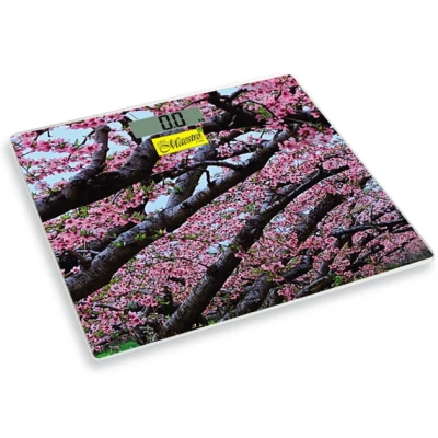 Ваги підлогові Maestro MR-1823 N