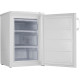 Морозильна камера Gorenje F492PW