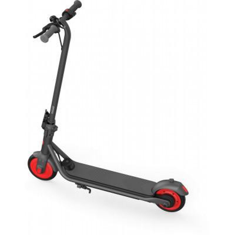 Дитячий електросамокат Ninebot eKickScooter ZING C20 Black (AA.00.0011.54)