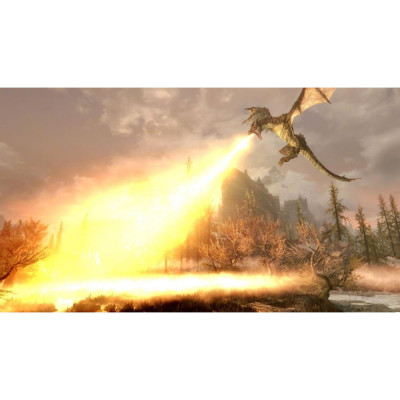 Гра для Nintendo Switch The Elder Scrolls V: Skyrim Nintendo Switch (045496421229)