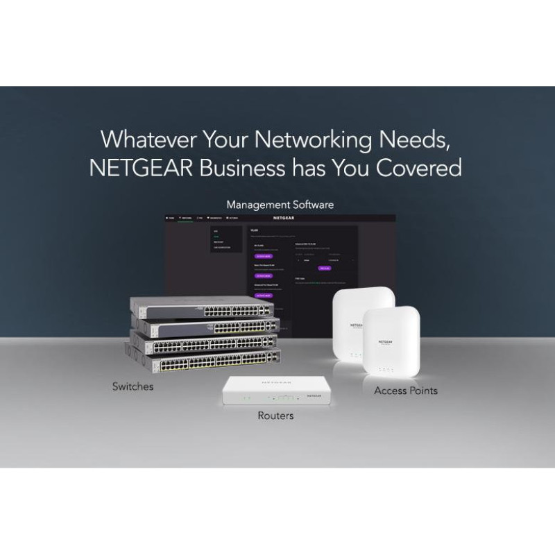 Комутатор некерований Netgear GS324 (GS324-200EUS)