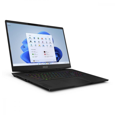 Ноутбук MSI Stealth 17 Studio A13VH Black (A13VH-067UA)