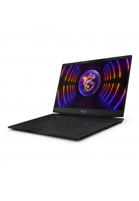 Ноутбук MSI Stealth 17 Studio A13VH Black (A13VH-067UA)