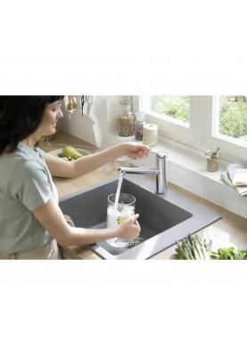 Змішувач для кухонного миття Hansgrohe Zesis M33 74800800