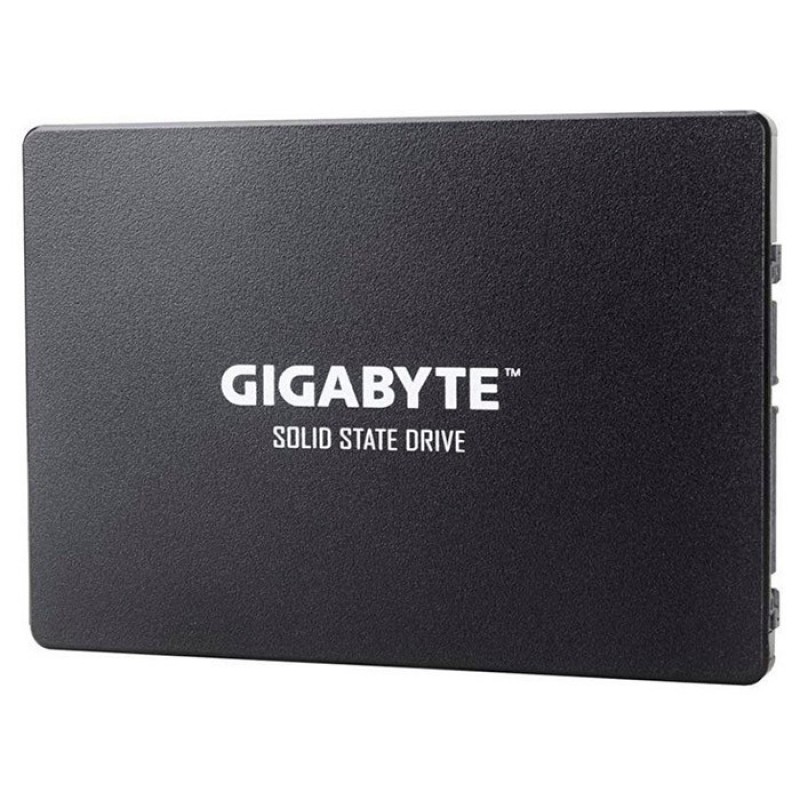 SSD накопичувач GIGABYTE GP-GSTFS31256GTND
