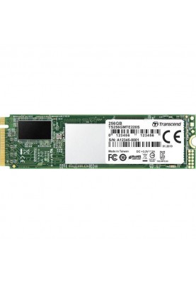 SSD накопичувач Transcend NVMe SSD 220S 256 GB (TS256GMTE220S)