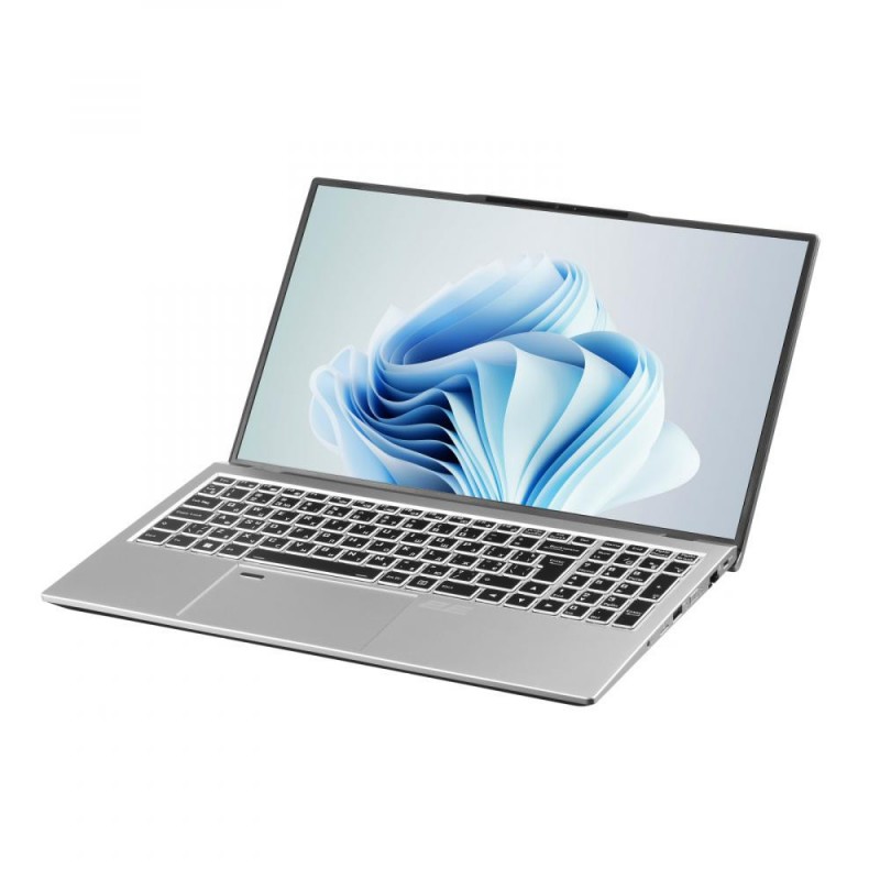 Ноутбук 2E Complex Pro 15 Silver (NS51PU-15UA32)