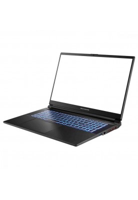 Ноутбук Dream Machines RG4070-17 Black (RG4070-17UA26)