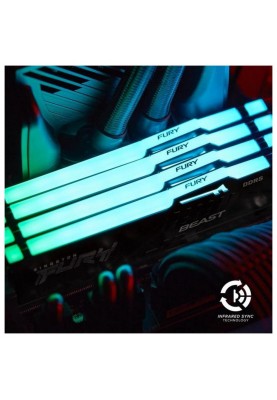 Пам'ять для настільних комп'ютерів Kingston FURY 16 GB DDR5 5600 MHz FURY Beast RGB (KF556C36BBEA-16)