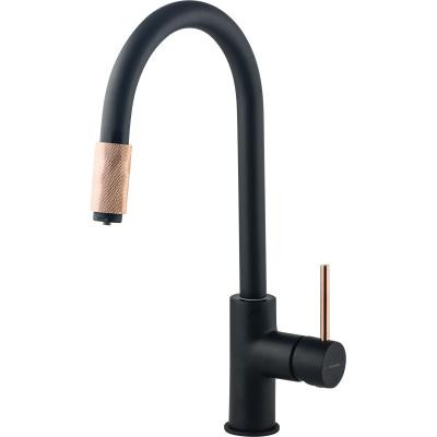 Змішувач для кухонного миття Deante Aster BCA B64M