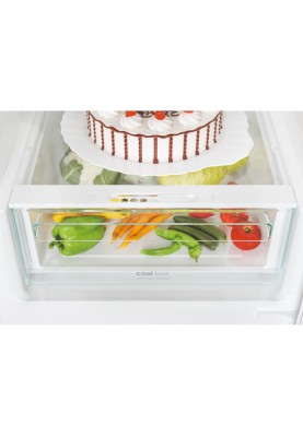 Холодильник із морозильною камерою Candy CCE4T620EBU