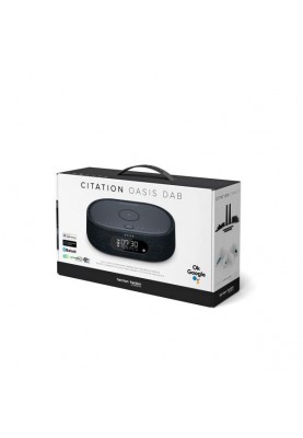 Моноблочна акустична система Harman/Kardon Citation Oasis FM Black (HKCITAOASISFMBLKEP)