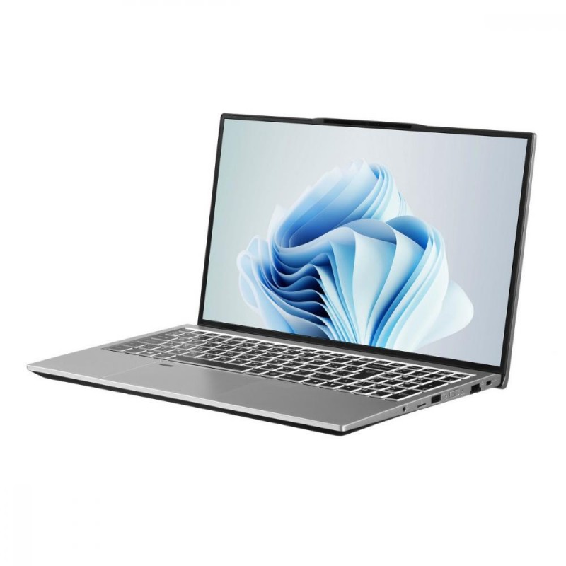 Ноутбук 2E Complex Pro 15 Silver (NS51PU-15UA50)