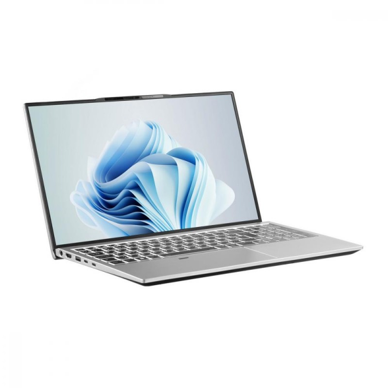 Ноутбук 2E Complex Pro 15 Silver (NS51PU-15UA50)