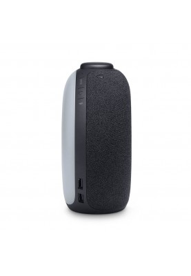 Портативна колонка JBL Horizon 2 Black (JBLHORIZON2BLK)