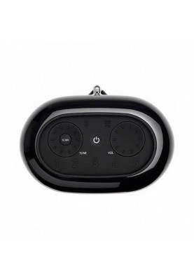 Радіоприймач JBL Tuner XL Black (JBLTUNERXLBLK)