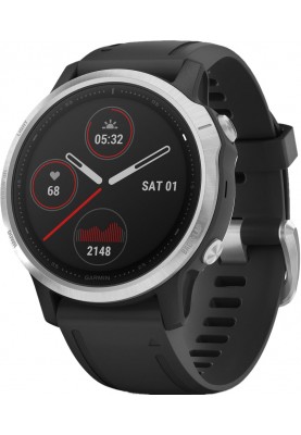 Смарт-годинник Garmin Fenix 6S Solar Silver with black band (010-02409-00)