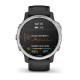 Смарт-годинник Garmin Fenix 6S Solar Silver with black band (010-02409-00)