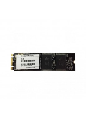 SSD накопичувач Golden Memory GMM2128