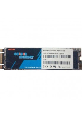 SSD накопичувач Golden Memory GMNV256