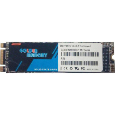 SSD накопичувач Golden Memory GMNV256